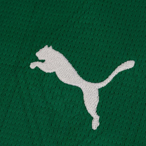 Camisola do Palmeiras 25/26 Puma Adepto Feminina