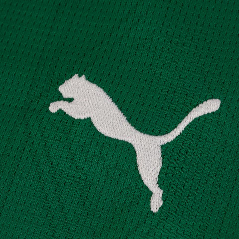 Camisola do Palmeiras 25/26 Puma Adepto Feminina