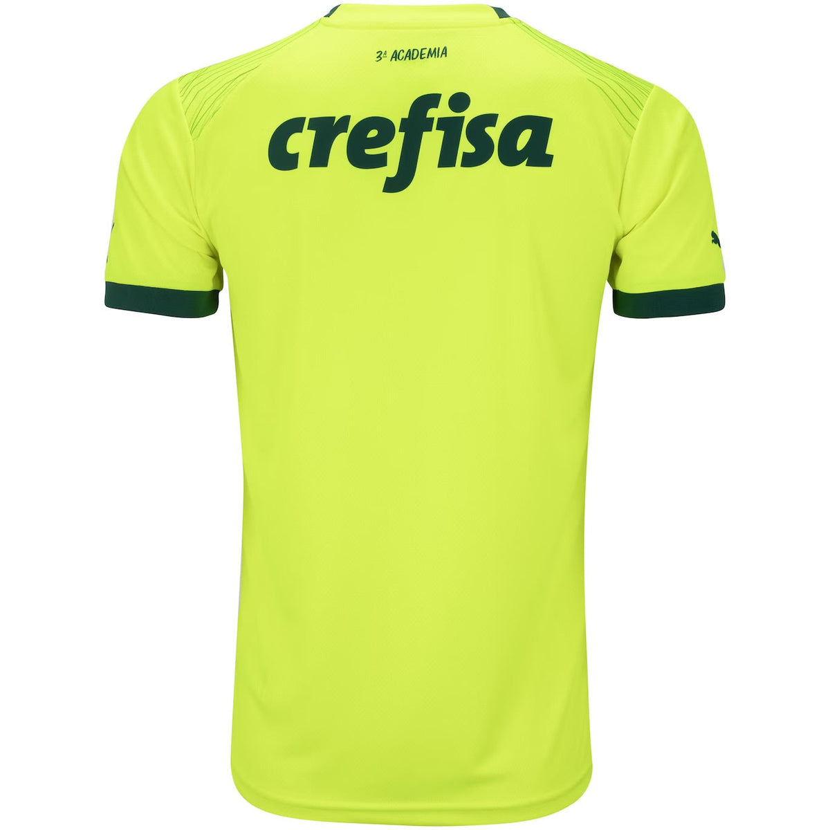 Camisola Palmeiras Away 23/24 - Puma Adepto Masculina