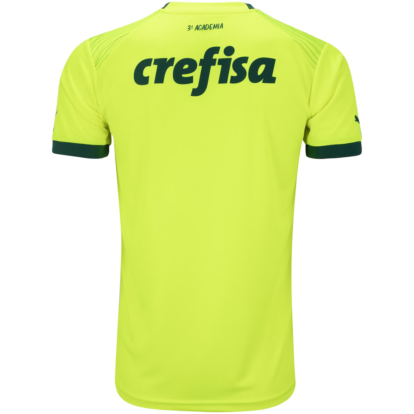 Camisola Palmeiras Away 23/24 - Puma Adepto Masculina