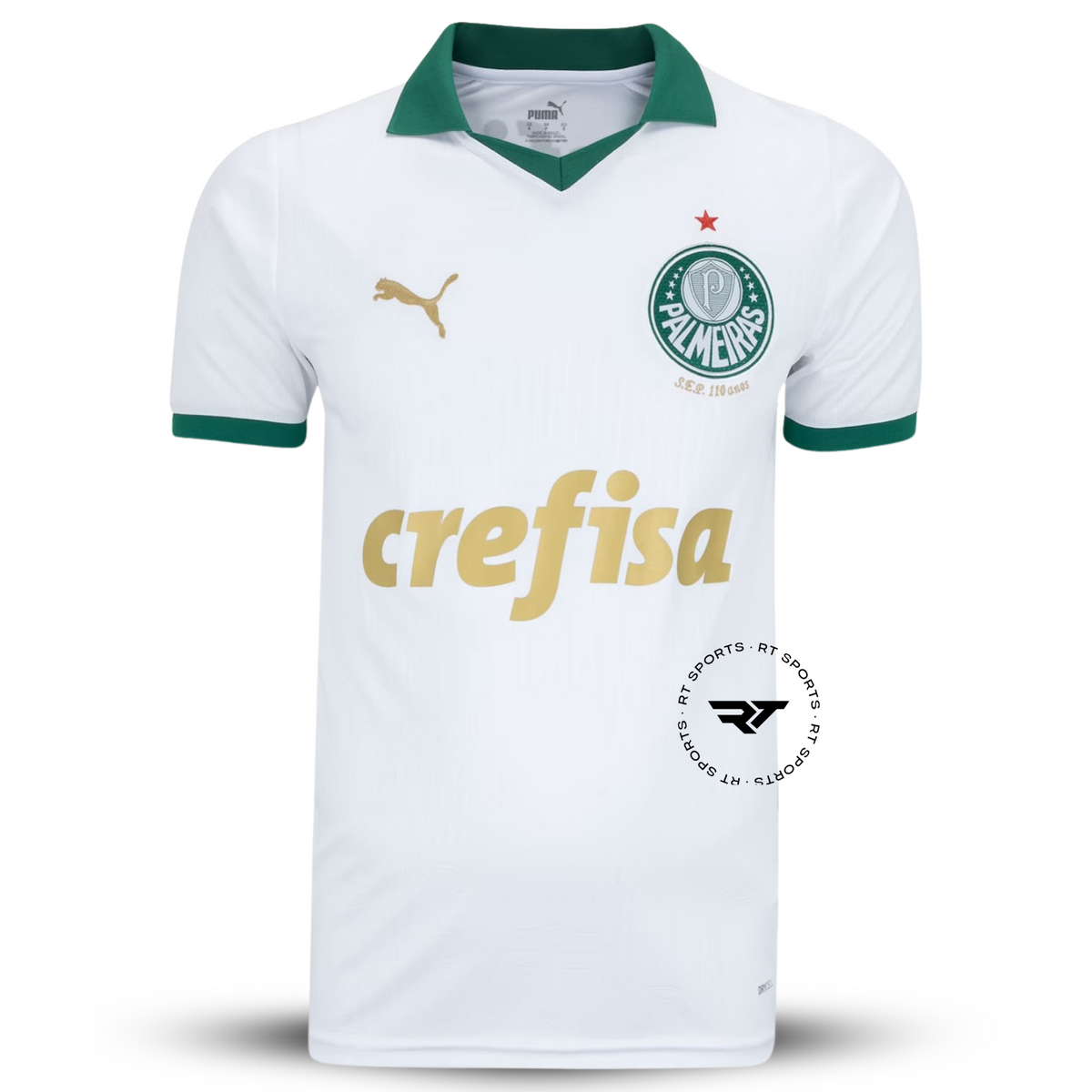 Camisola do Palmeiras 2024/25 Puma Adepto Masculina