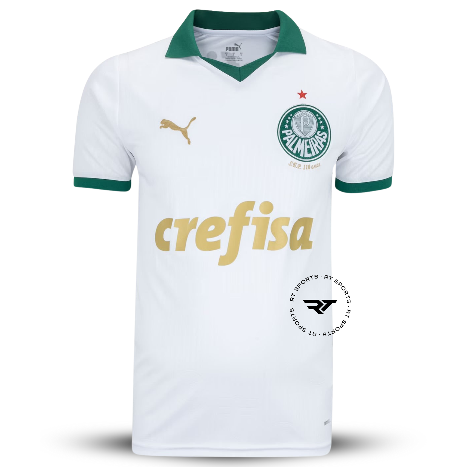 Camisola do Palmeiras 2024/25 Puma Adepto Masculina