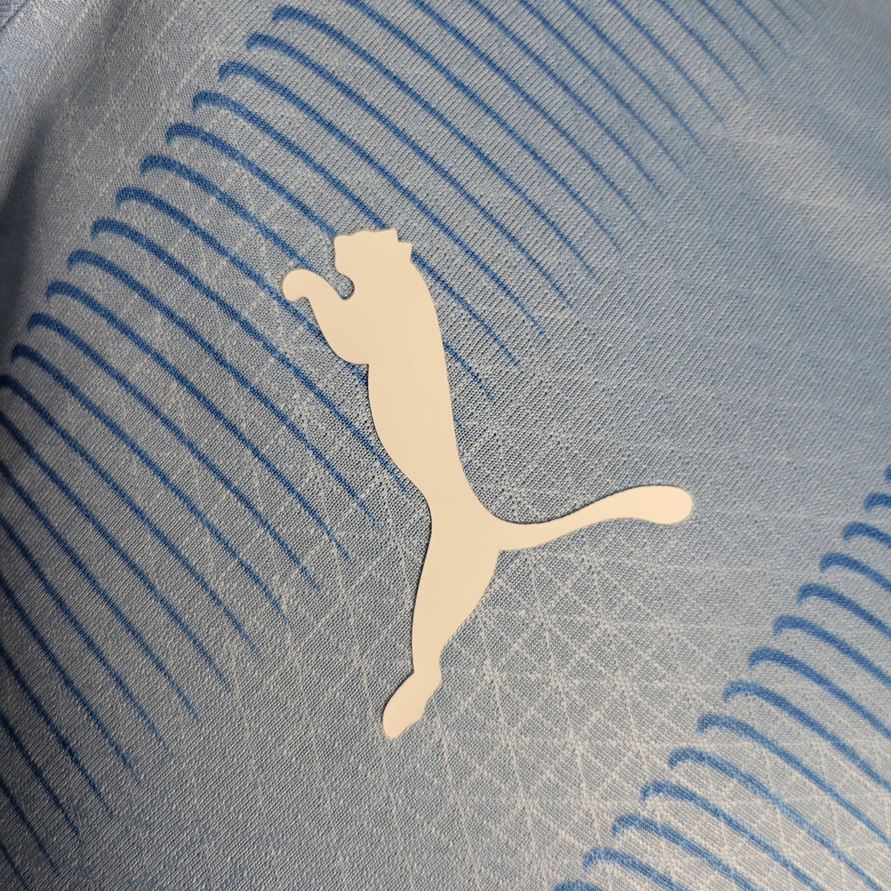 Camisola Manchester City Home 23/24 - Puma Jogador Masculina