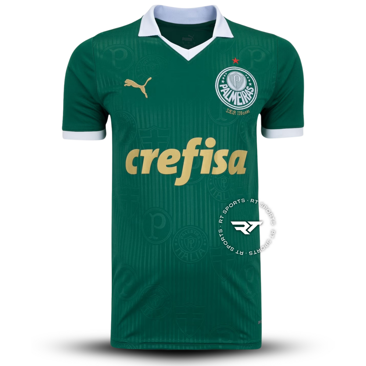 Camisola do Palmeiras 2024/25 Puma Adepto Masculina