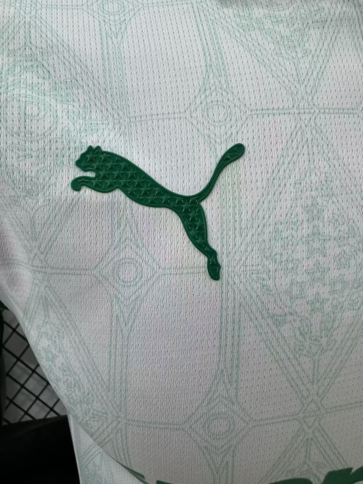 Camisola do Palmeiras 2025/26 Puma Jogador Masculina