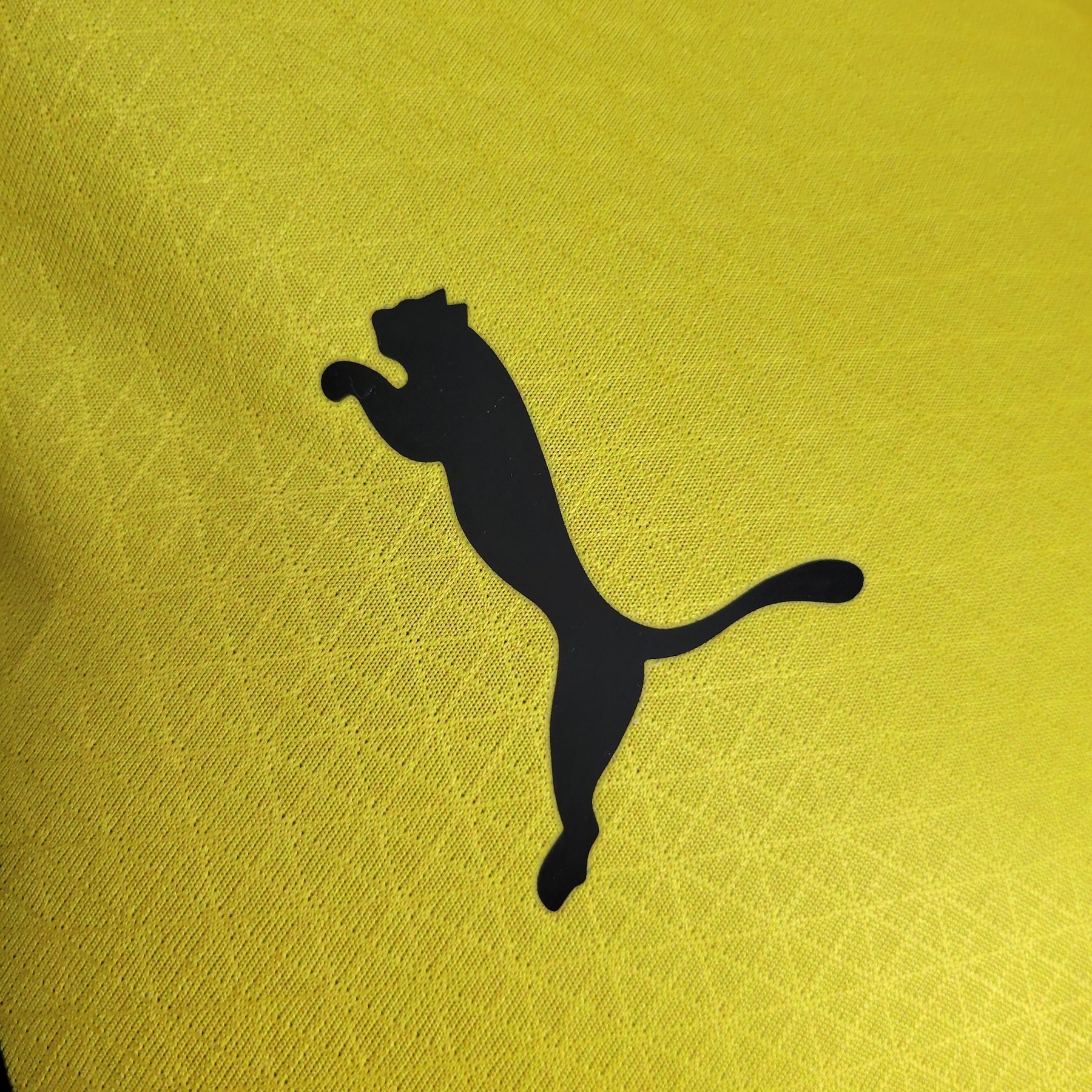 Camisola Borussia Dortmund Home 23/24 - Puma Jogador Masculina