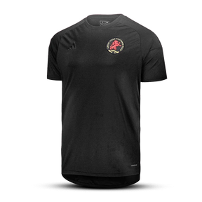 Camisola do Aston Villa “ 50th Anniversary x Game of Thrones” 2025