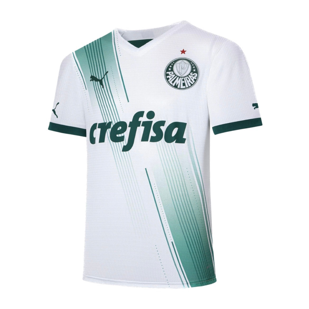Camisola Palmeiras Away 23/24 - Puma Adepto Masculina