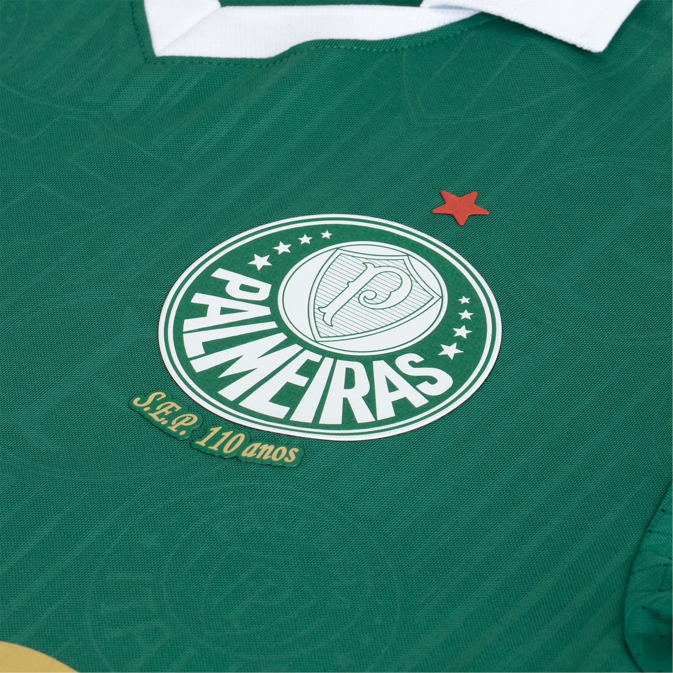 Camisola do Palmeiras 2024/25 Puma Jogador Masculina