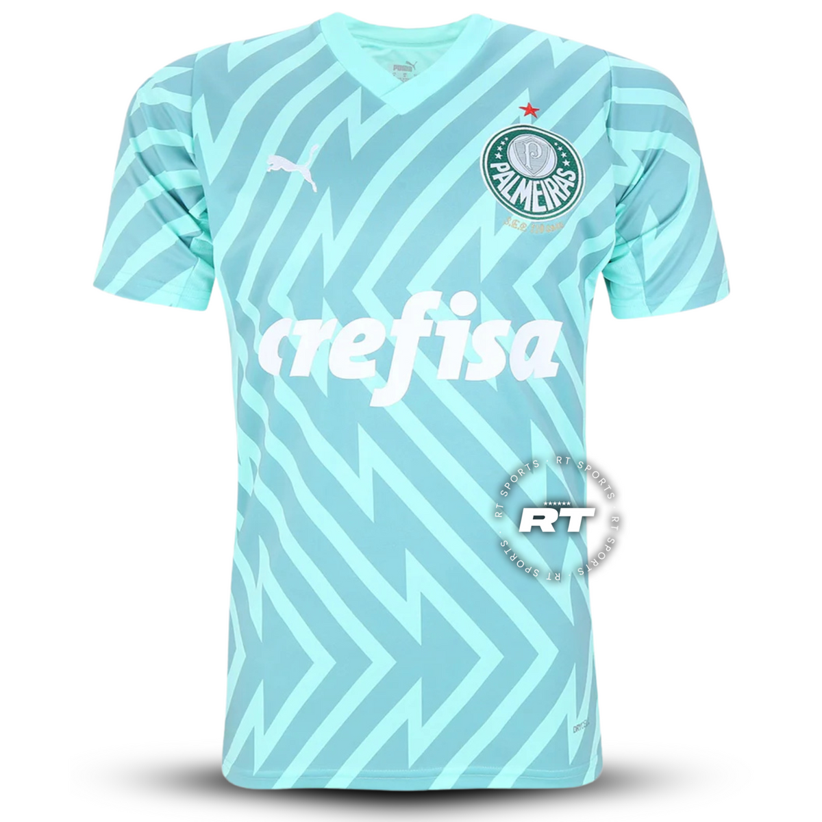 Camisola do Palmeiras Goleiro 2024/25 Puma Adepto Masculina