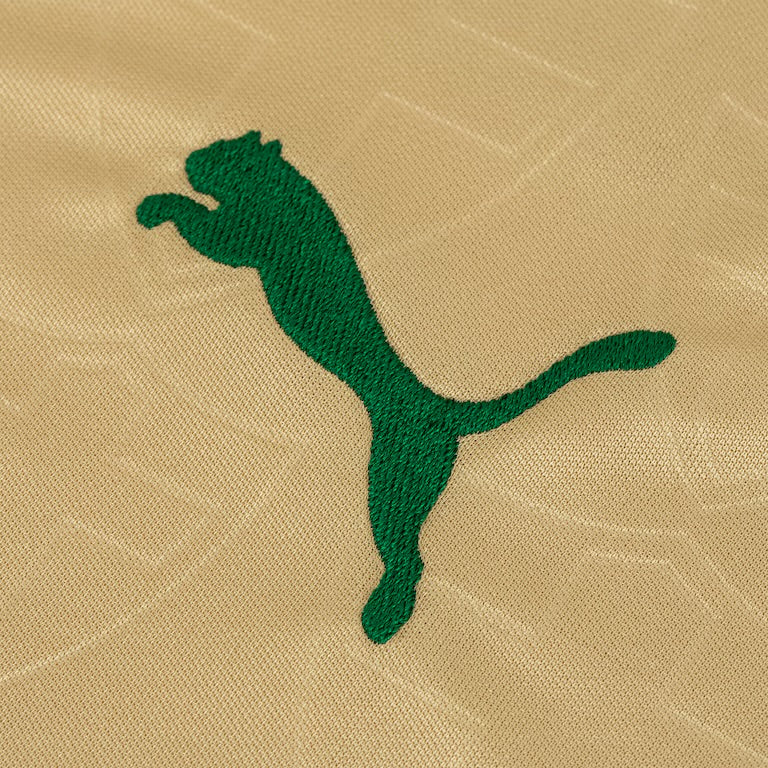 Camisola do Palmeiras 2024/25 Puma Adepto Masculina