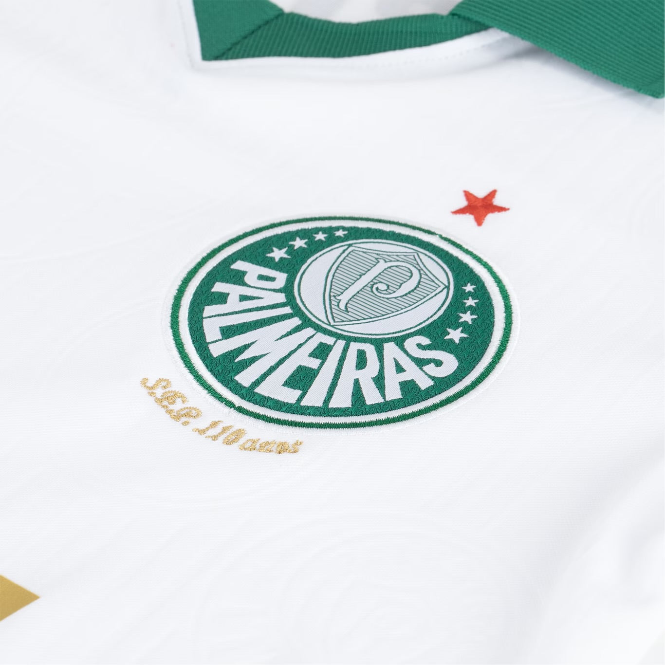 Camisola do Palmeiras 2024/25 Puma Adepto Feminina
