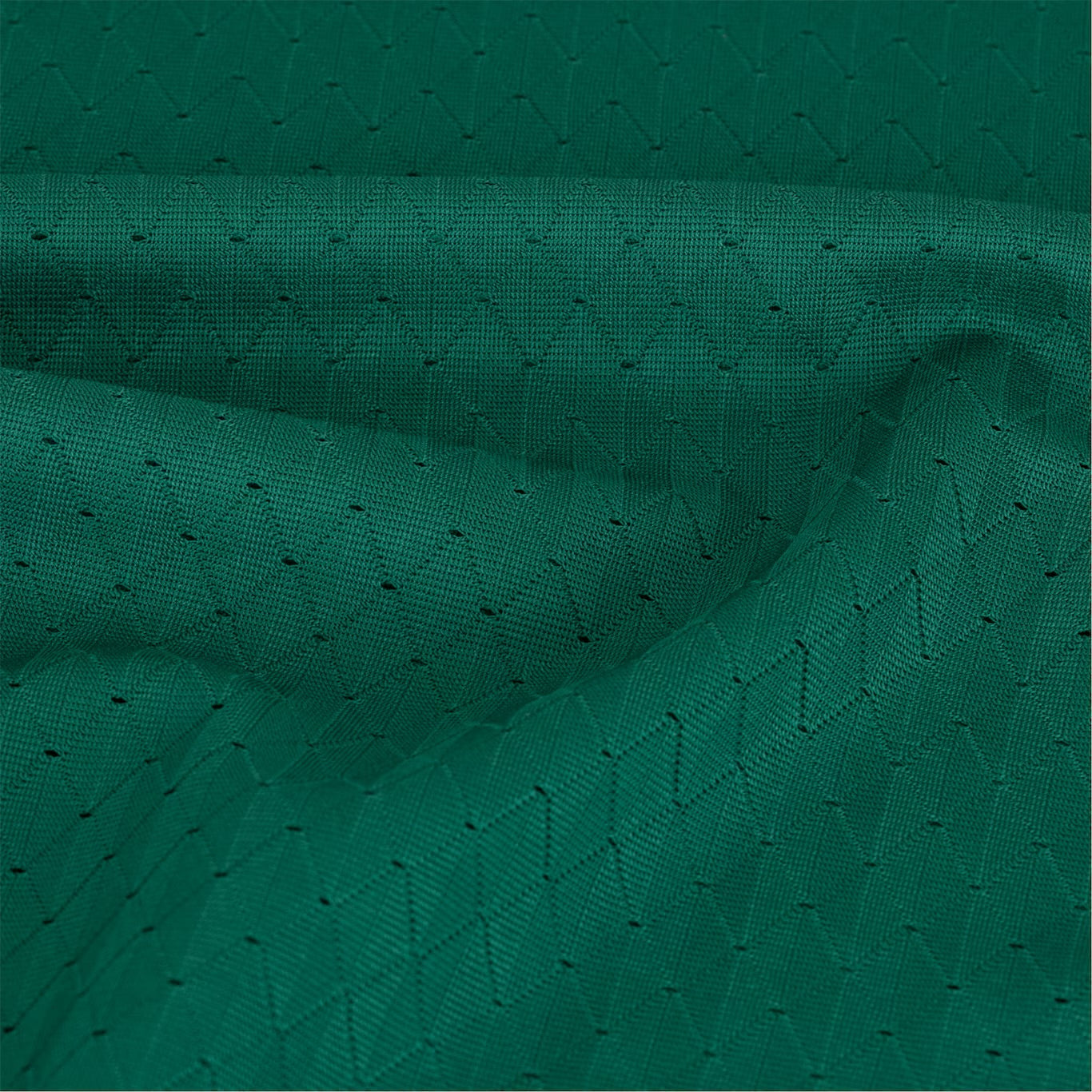 Camisola do Palmeiras 2024/25 Puma Jogador Masculina