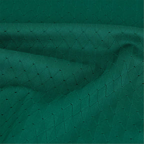 Camisola do Palmeiras 2024/25 Puma Jogador Masculina