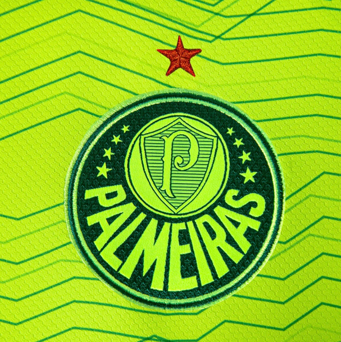 Camisola Palmeiras Home 23/24 - Puma Adepto Masculina com Patch de atual Campeão Brasileiro 2023