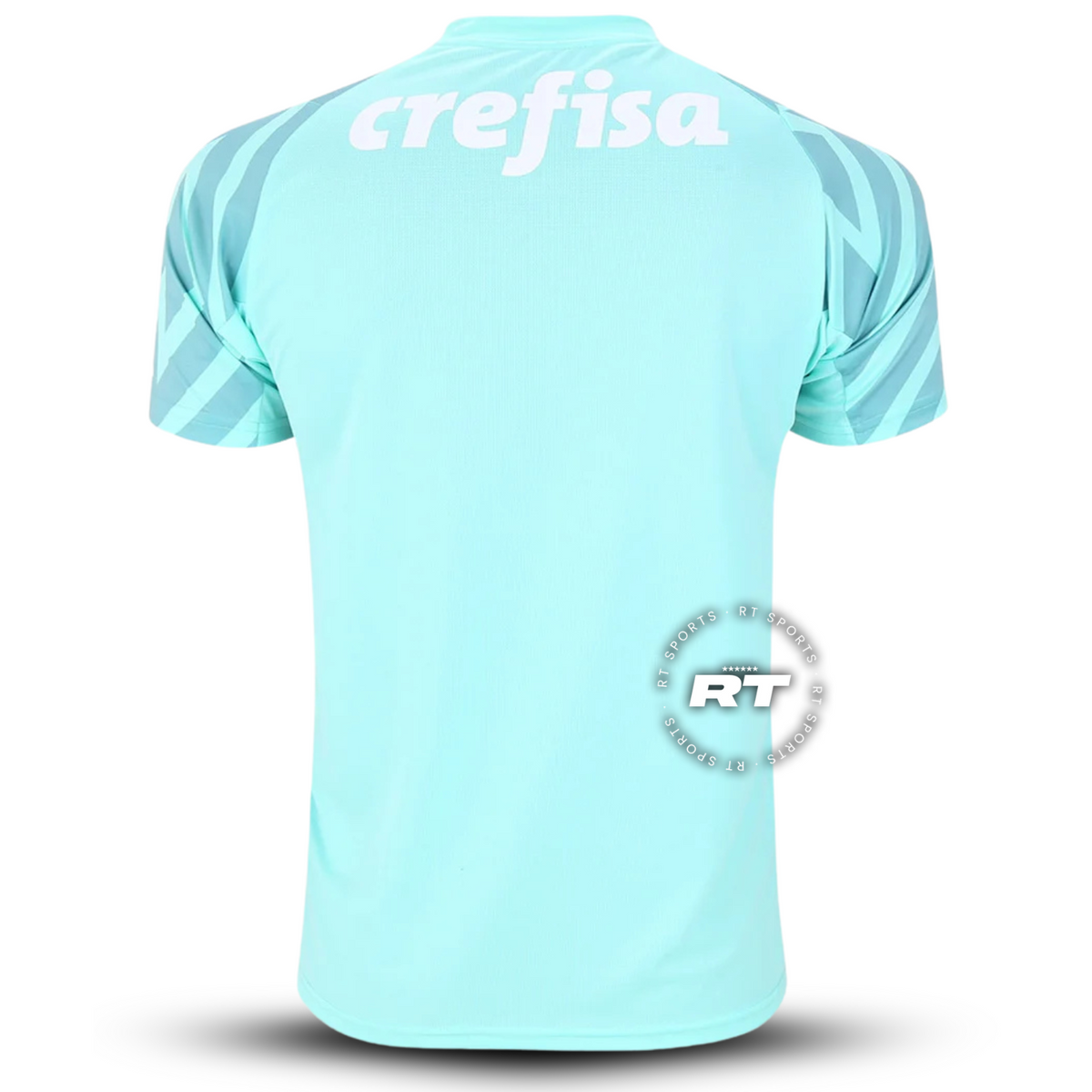 Camisola do Palmeiras Goleiro 2024/25 Puma Adepto Masculina