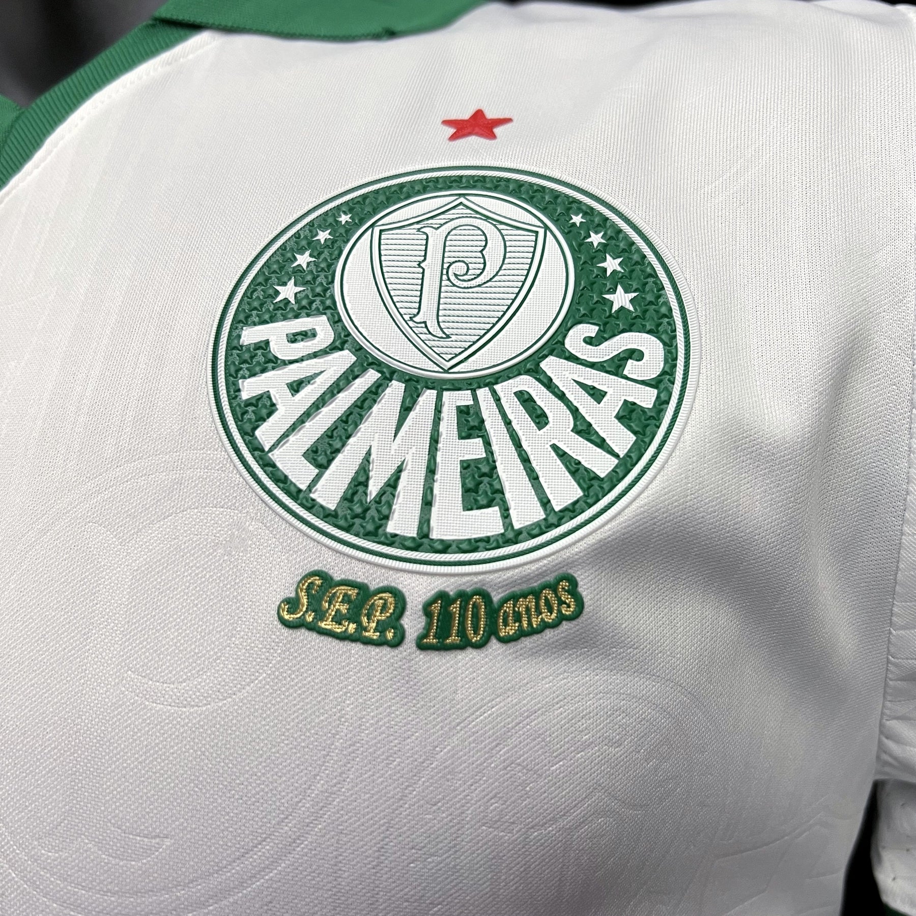 Camisola do Palmeiras 2024/25 Puma Jogador Masculina
