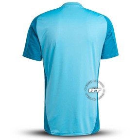 Camisola Flamengo Treino 2025 Masculina