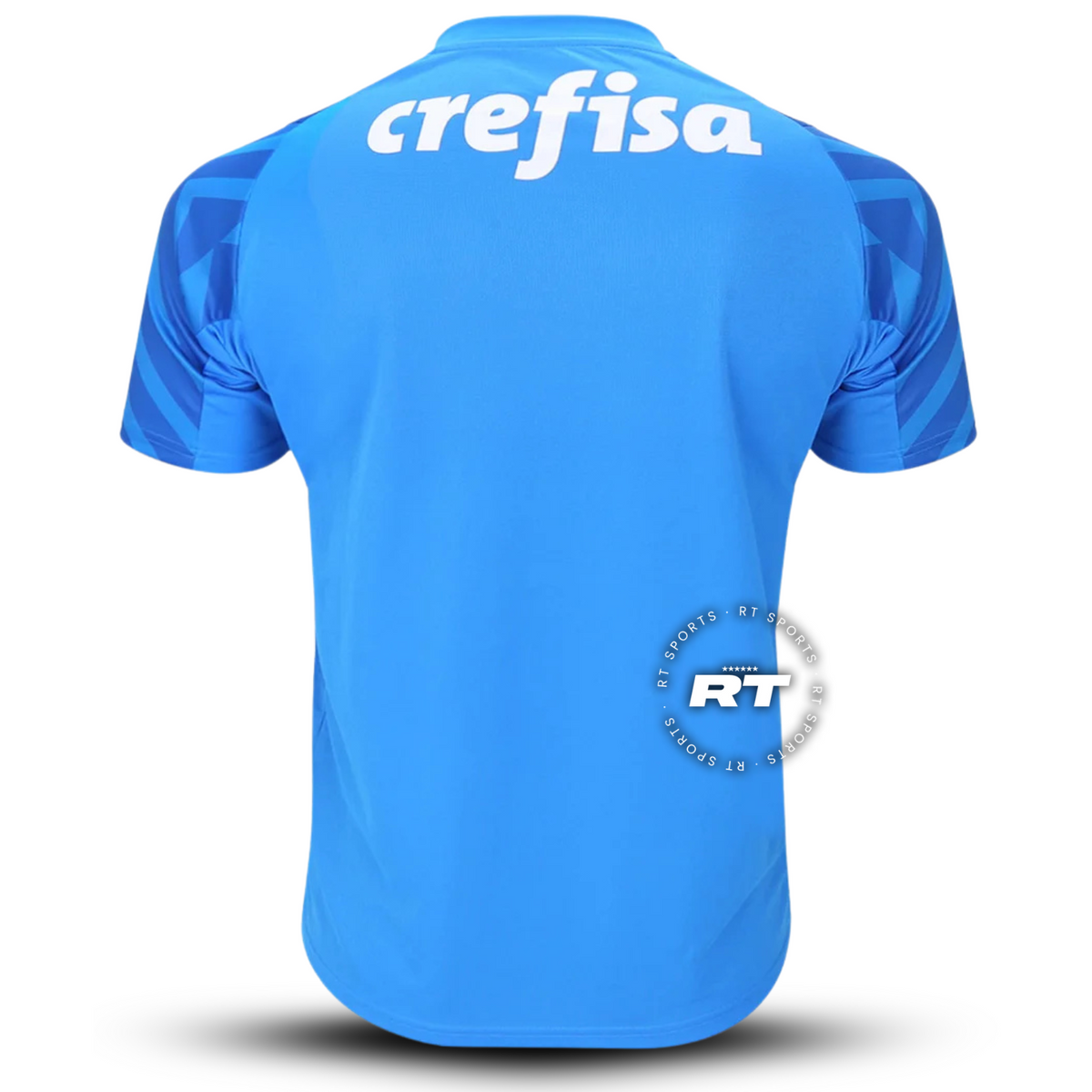 Camisola do Palmeiras 2024/25 Puma Adepto Masculina