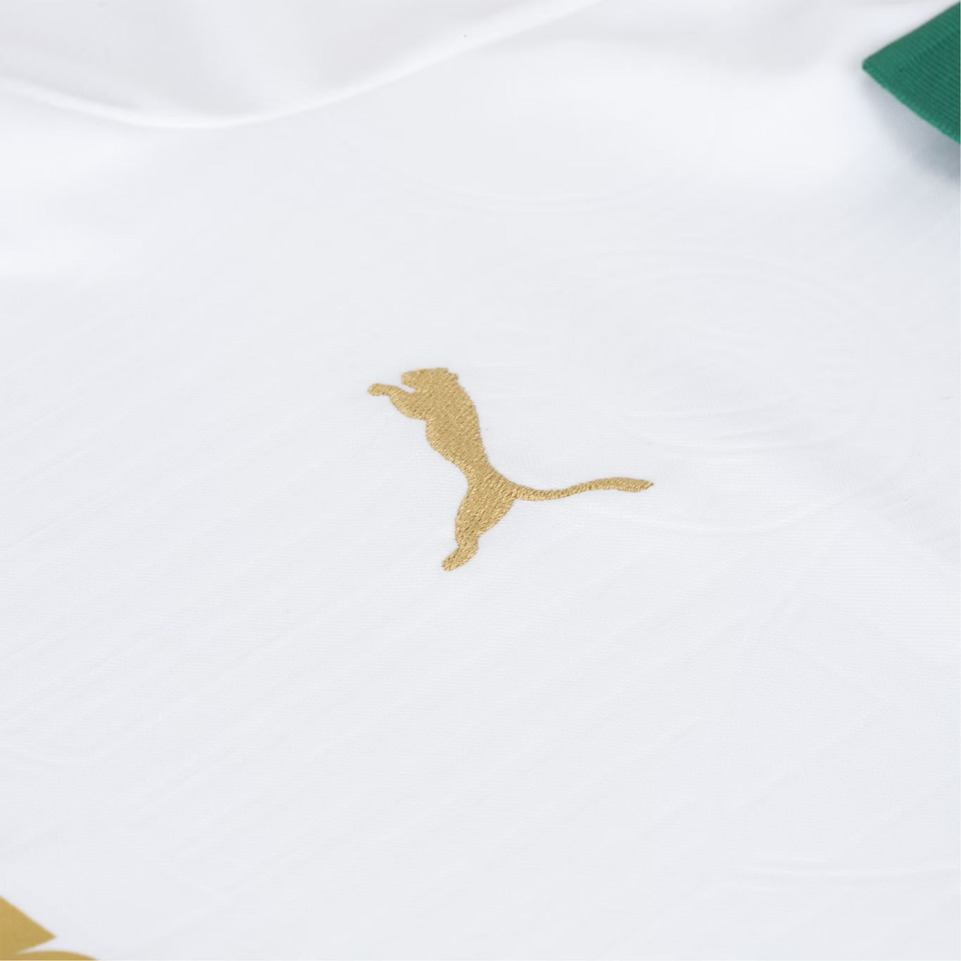 Camisola do Palmeiras 2024/25 Puma Adepto Feminina