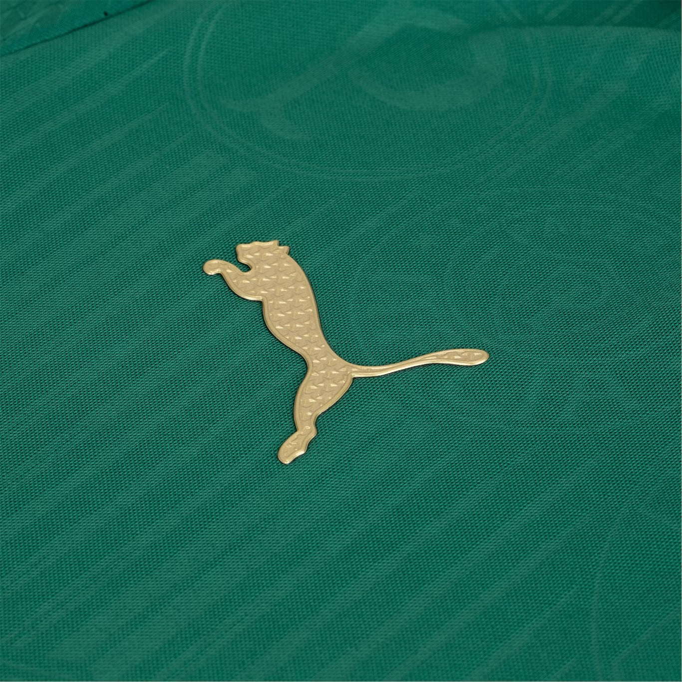 Camisola do Palmeiras 2024/25 Puma Jogador Masculina