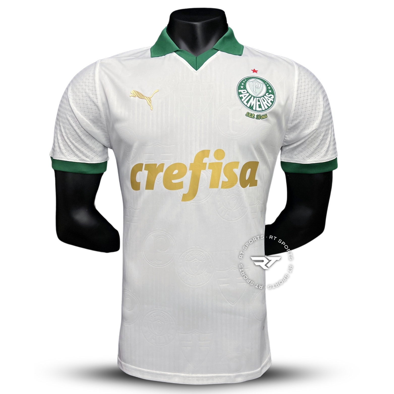 Camisola do Palmeiras 2024/25 Puma Jogador Masculina
