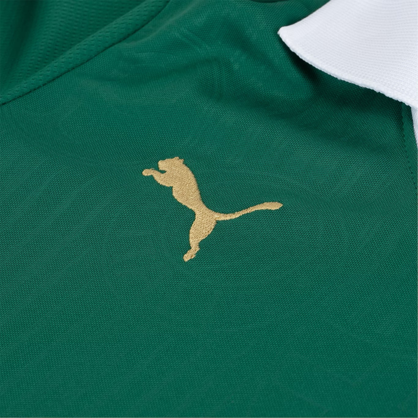 Camisola do Palmeiras 2024/25 Puma Adepto Masculina