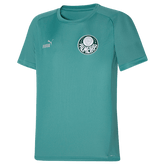 Camisola Palmeiras Treino 23/24 - Puma Adepto Masculina - Verde