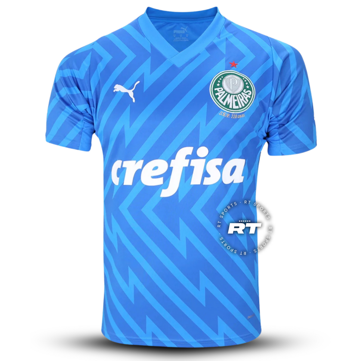 Camisola do Palmeiras 2024/25 Puma Adepto Masculina