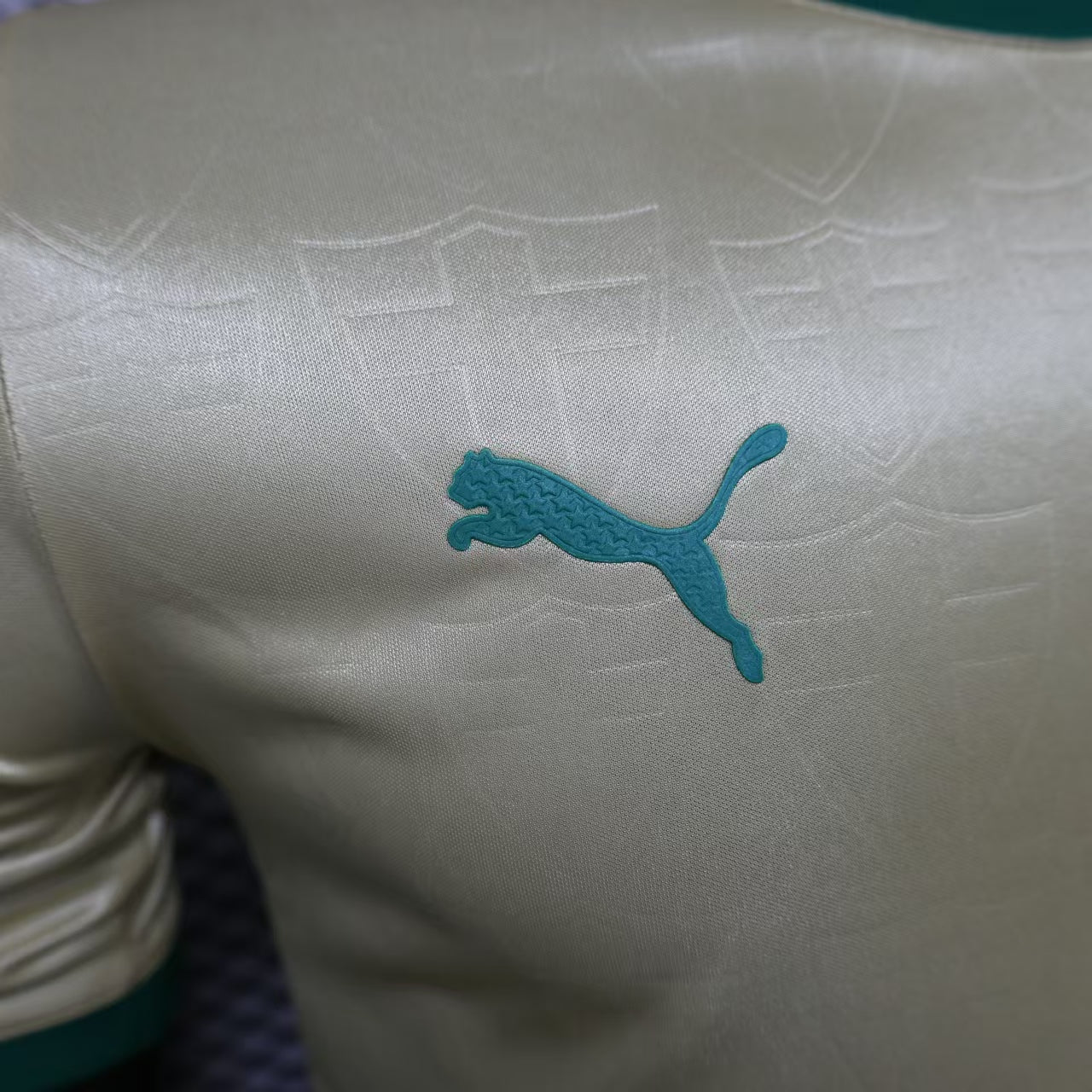Camisola do Palmeiras 2024/25 Puma Jogador Masculina