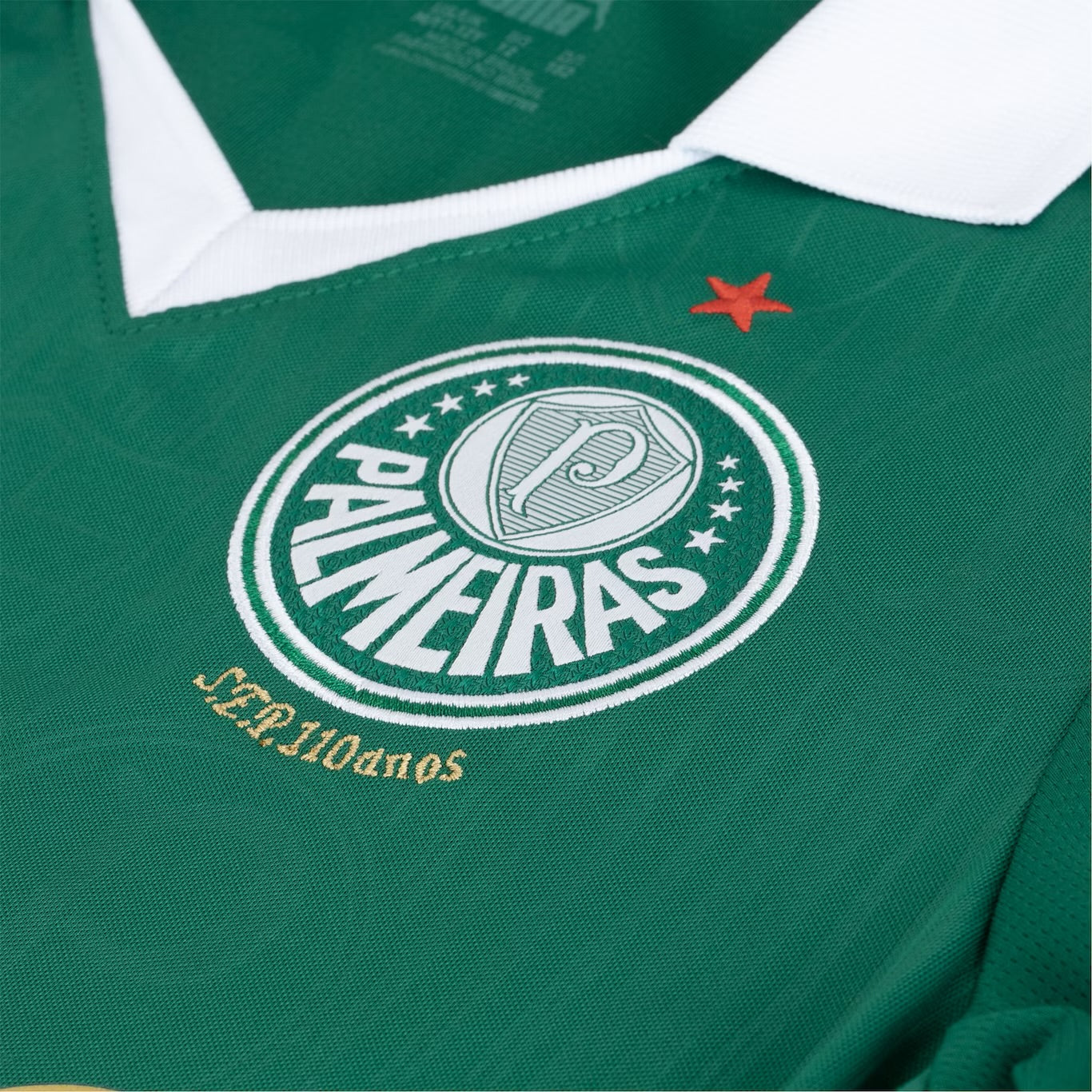 Camisola do Palmeiras 2024/25 Puma Adepto Feminina