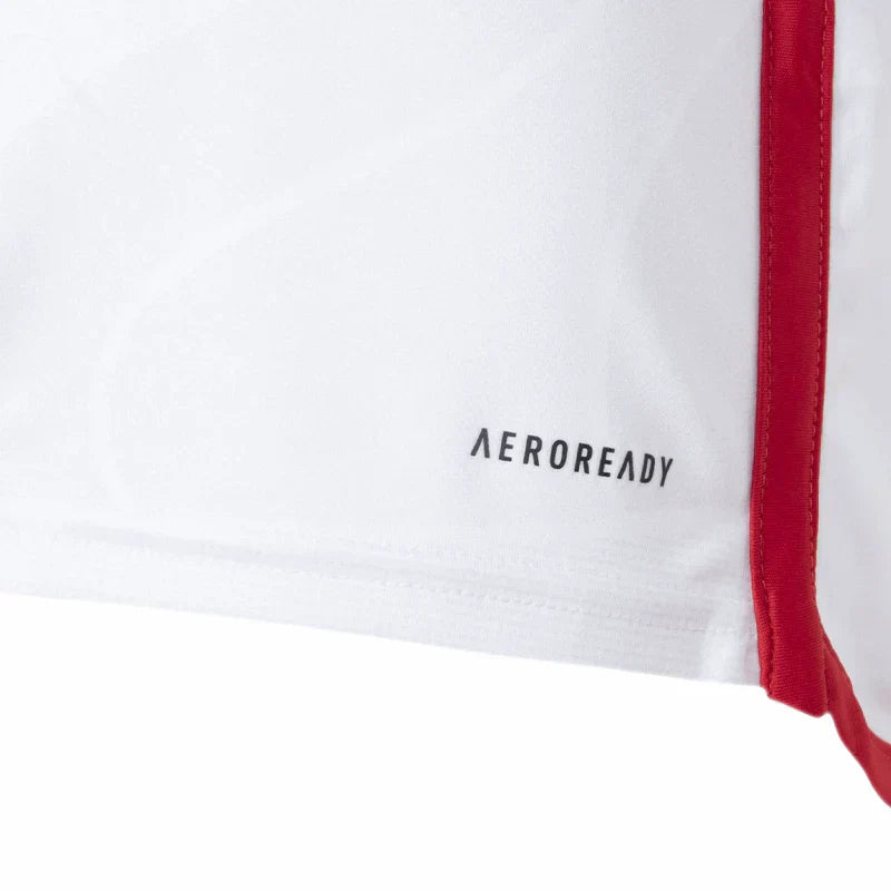 Camisola do Flamengo 2024/25 Adepto Lançamento
