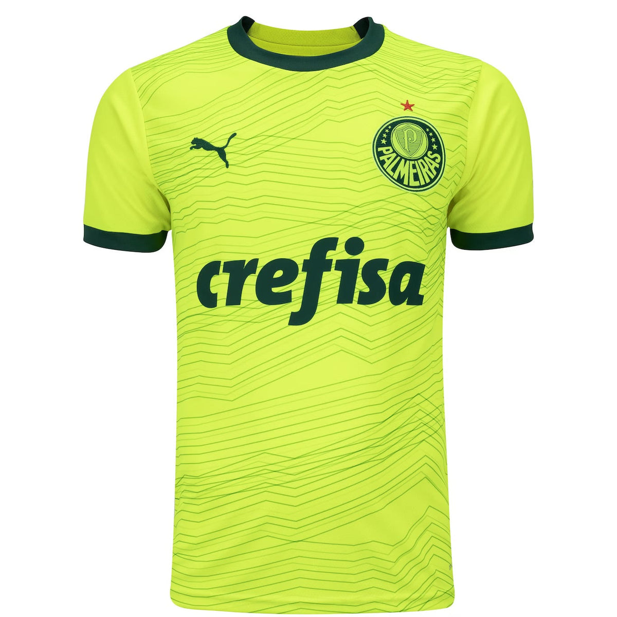 Camisola Palmeiras Away 23/24 - Puma Adepto Masculina