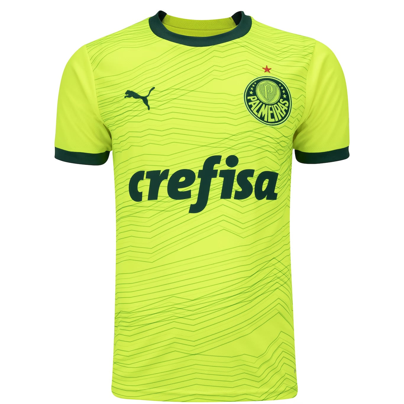 Camisola Palmeiras Away 23/24 - Puma Adepto Masculina