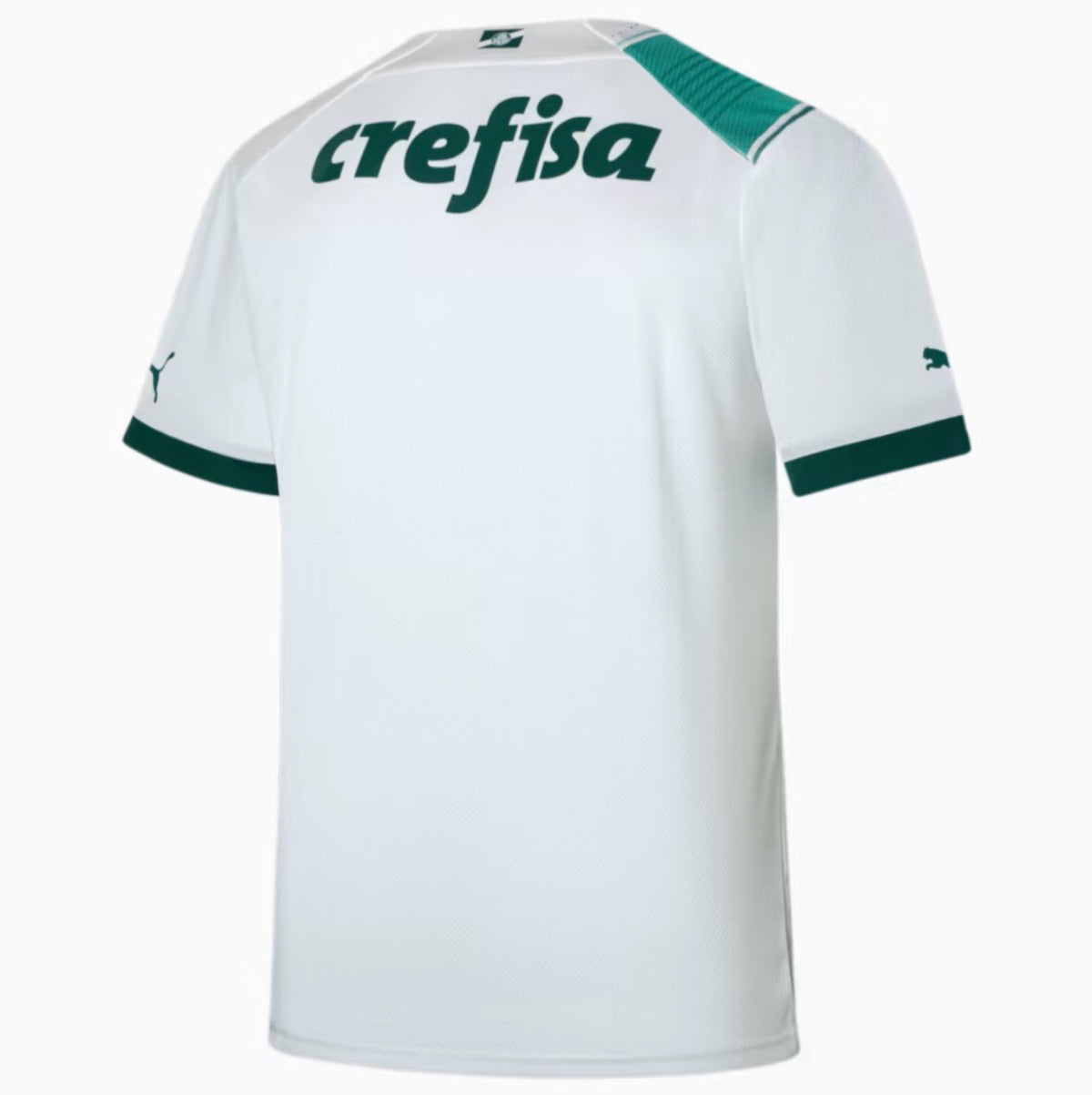 Camisola Palmeiras Home 23/24 - Puma Adepto Masculina com Patch de atual Campeão Brasileiro 2023