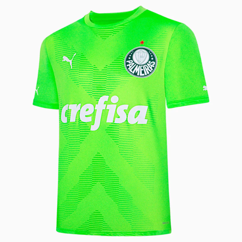 Camisola Palmeiras Goleiro 23/24 - Puma Adepto Masculina