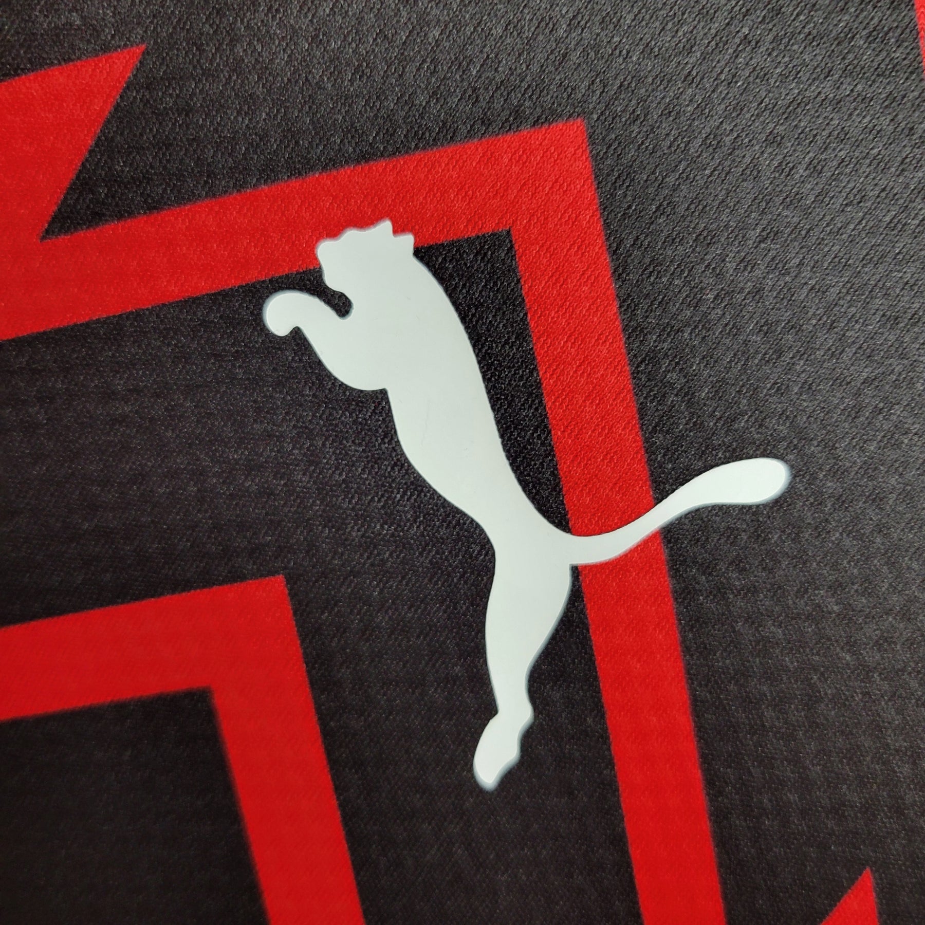 Camisola Milan Treino 23/24 - Puma Adepto